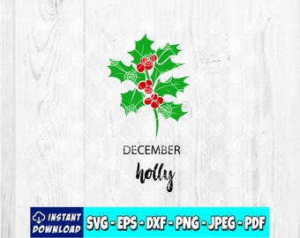 December Birth Flower Holly SVG: Christmas Clipart (Digital Download)