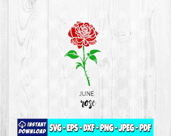 Juni Geburtsblume Rose SVG: Floral Clipart geschnitten Datei (digitaler Download)