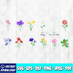 Flor de nacimiento mensual SVG / Paquete de flores de nacimiento / Flor de Navidad / Clipart de flores del mes de nacimiento / Archivo de corte / Archivo svg / Descarga instantánea