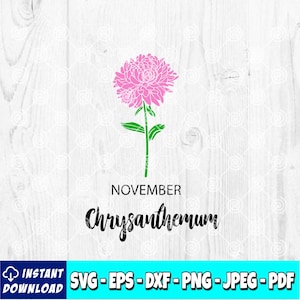 November Birth Flower SVG | Chrysanthemum svg | Birth Month Flower | Birth Flower Clipart | Cut File | svg file | Instant Download