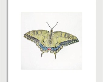 Original Yellow Swallowtail Butterfly Painting, Watercolor Insect Art, NOT A PRINT