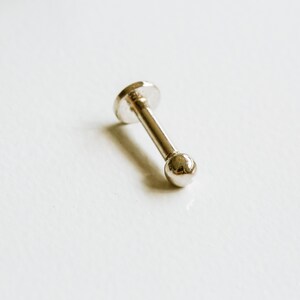 May include: A silver barbell with a small ball on each end. The barbell is commonly used for body piercings.