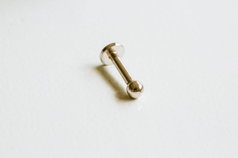 May include: A silver barbell with a small ball on each end. The barbell is commonly used for body piercings.