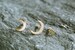 14K Real Solid Gold Jewelry 20g Cartilage Daith Tragus Cz Sideways Half Full Blue Crescent Sailor Luna Moon Star Ear Studs Piercing Earring 