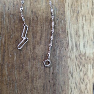 Pu&ograve; includere: Una collana a catena d'argento con un design delicato e intricato. La catena &egrave; composta da piccoli cerchi collegati.