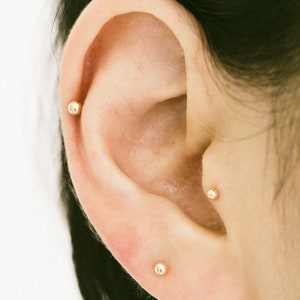 May include: Close-up of a person's ear with three small gold stud earrings. The earrings are in the lobe, helix, and conch piercings.