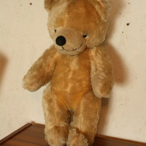 50 year old teddy...