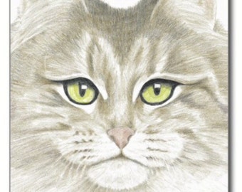 Maine Coon, note card or print