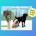 041SG Frenchie & Black Lab Holiday Postcards for Mail Carriers, Season's Greetings