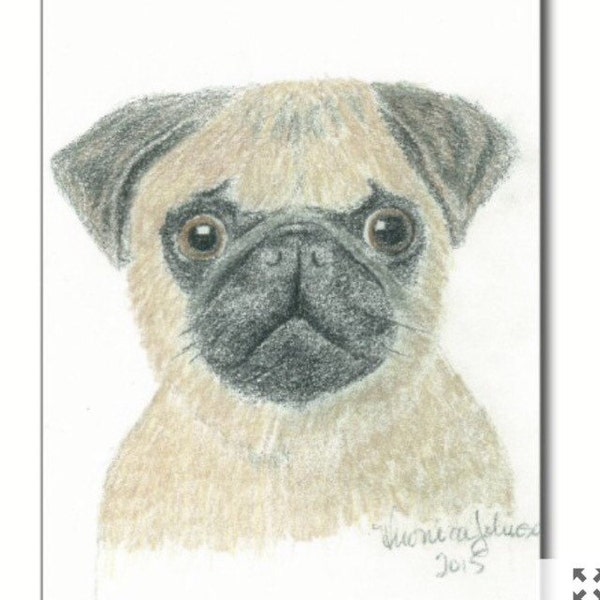 Pug Note Card, hand drawn card, greeting card, illustrated note card, stationary, thank you note