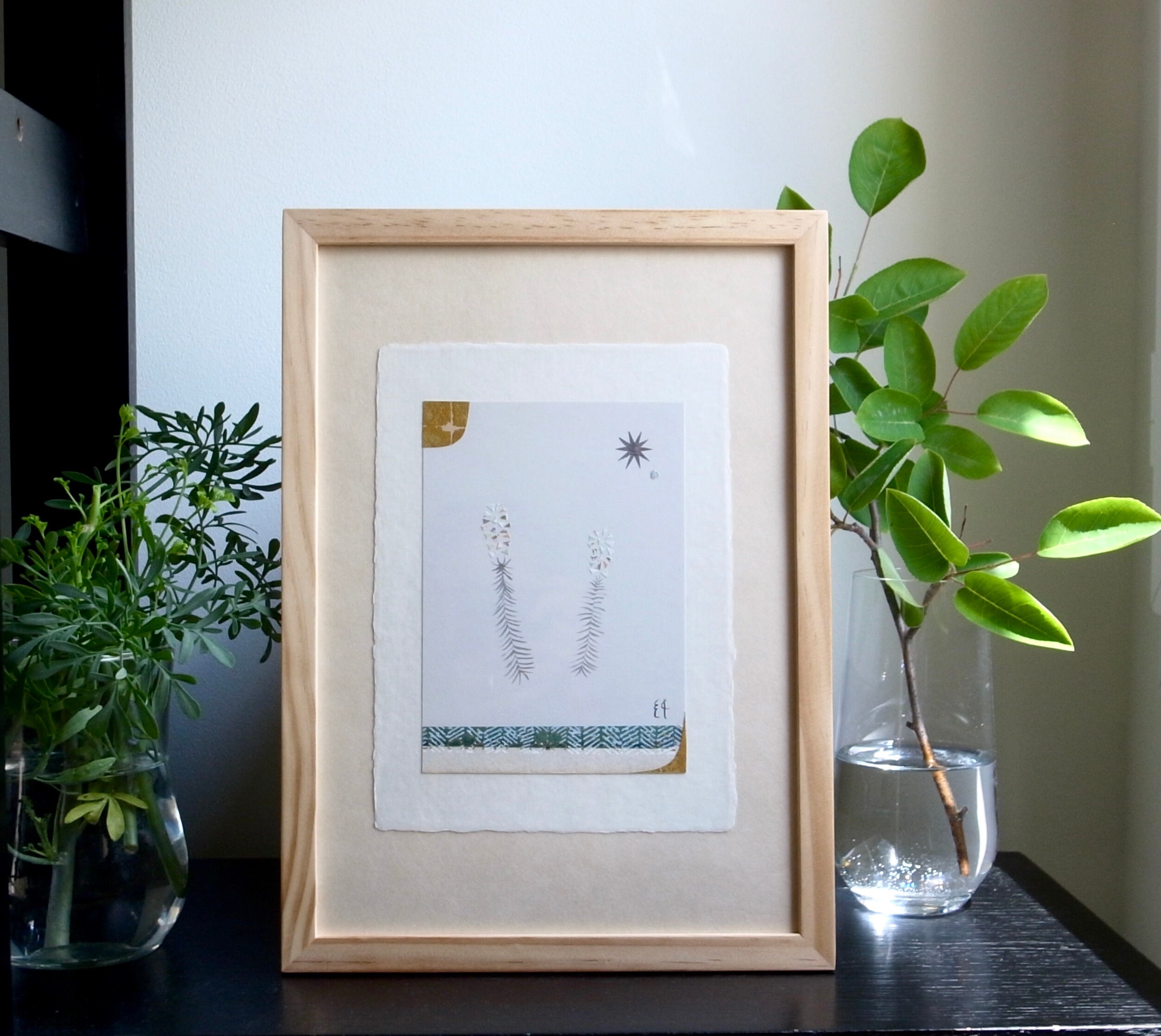 Euphorbe Characias 2 ?????????????