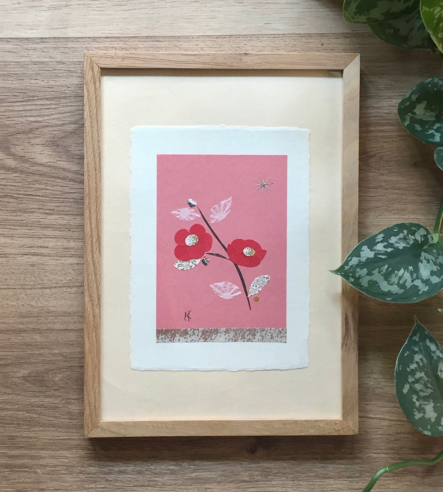 Camelia - Corail ? ???