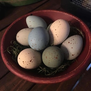 Primitive Eggs, Speckled Eggs, Easter Eggs, Farmhouse Spring Speckled Eggs, Faux Eggs, Farm Fresh Eggs, Spring Decor, image 2