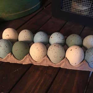 Primitive Eggs, Speckled Eggs, Easter Eggs, Farmhouse Spring Speckled Eggs, Faux Eggs, Farm Fresh Eggs, Spring Decor, image 4