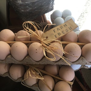 Farmhouse Farm Fresh Brown Eggs, Faux Eggs, Farm Fresh Eggs, Primitive Kitchen Decor, Primitive Eggs, Brown Eggs, Farmhouse Decor