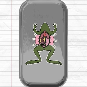 Pode incluir: Ilustração de dissecção de rã verde de desenho animado sobre fundo cinza. A rã está aberta com alfinetes, revelando órgãos internos. A imagem está em uma bandeja cinza retangular com cantos arredondados, em um fundo de papel pautado.