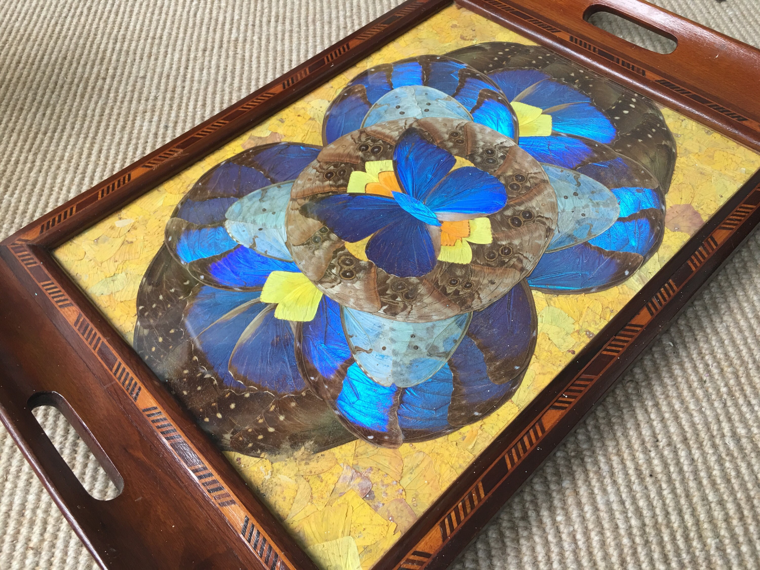 Brazilian Art Deco butterfly tray with exotic wood marquetry