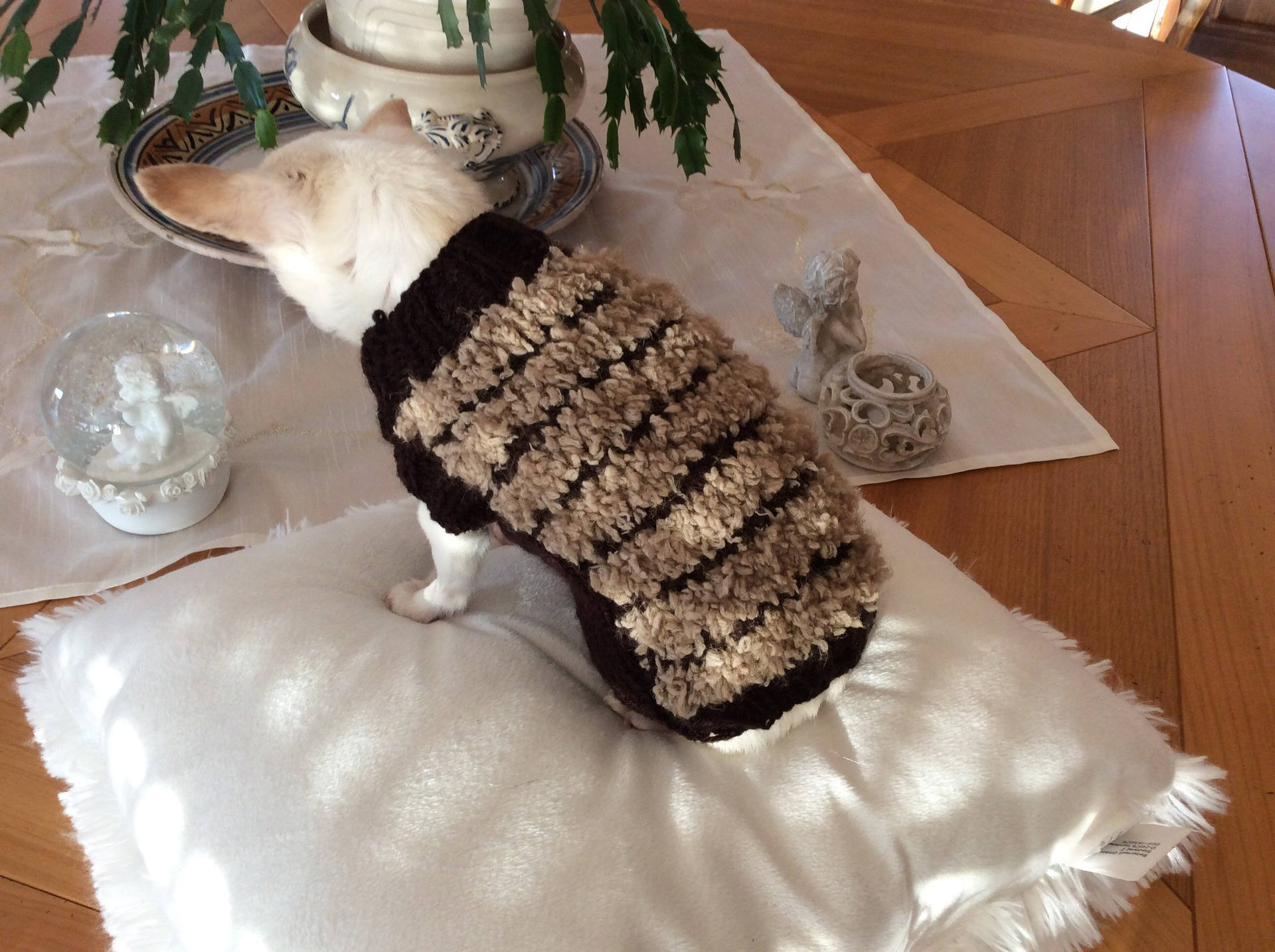 Pull....chien Laine Petit Chien ou Chat 1Kg 00 A 2 Kg00