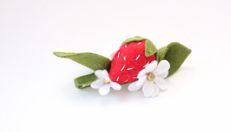 floralcrowns|spring|felt floral|valentines felt|felt flowers|photoprops|birthday|summer|felt fruits Tuti Frutti