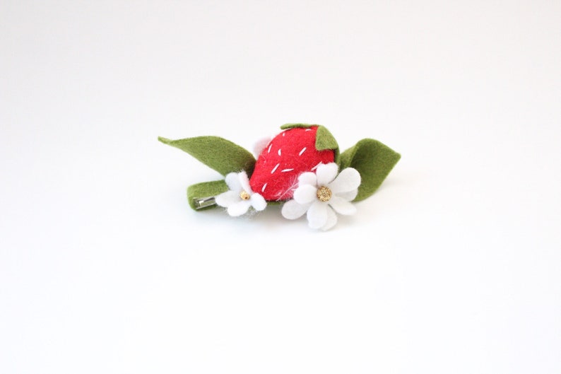 floralcrowns|spring|felt floral|valentines felt|felt flowers|photoprops|birthday|summer|felt fruits Tuti Frutti