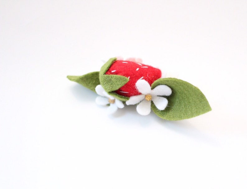 floralcrowns|spring|felt floral|valentines felt|felt flowers|photoprops|birthday|summer|felt fruits Tuti Frutti