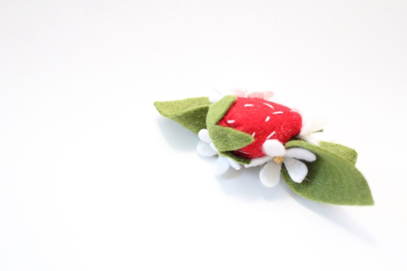 floralcrowns|spring|felt floral|valentines felt|felt flowers|photoprops|birthday|summer|felt fruits Tuti Frutti