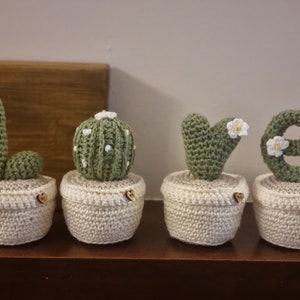 May include: Four crocheted cactus plants in white pots with wooden heart accents. The cacti are shaped to spell the word "LOVE".