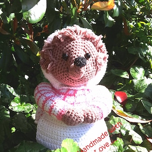 Hedgehog - Mrs Tiggy-Winkle - Crochet Pattern Only- Amigurumi