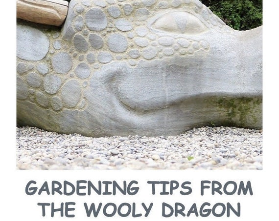 Book- Gardening Tips From the Wooly Dragon Part 1: Herbs  Digital Download PDF