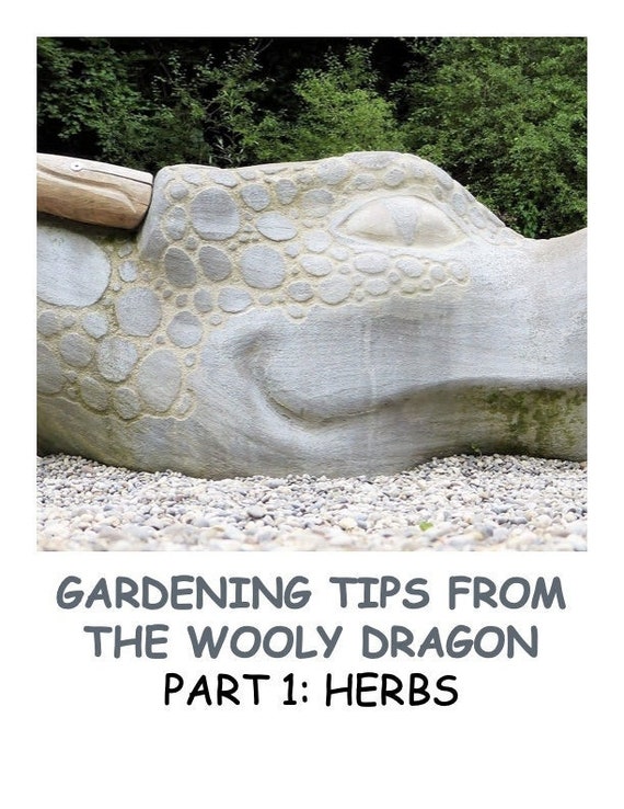 Book- Gardening Tips From the Wooly Dragon Part 1: Herbs  Digital Download PDF