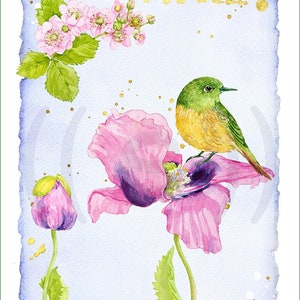 Könnte beinhalten: Aquarellmalerei eines grün-gelben Vogels, der auf einer rosa Mohnblume sitzt. Das Kunstwerk zeigt einen hellblauen Hintergrund mit rosa Blüten und goldenen Akzenten. Das Bild hat einen zerrissenen Papierrand.