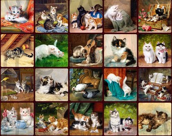 patchwork cat breed