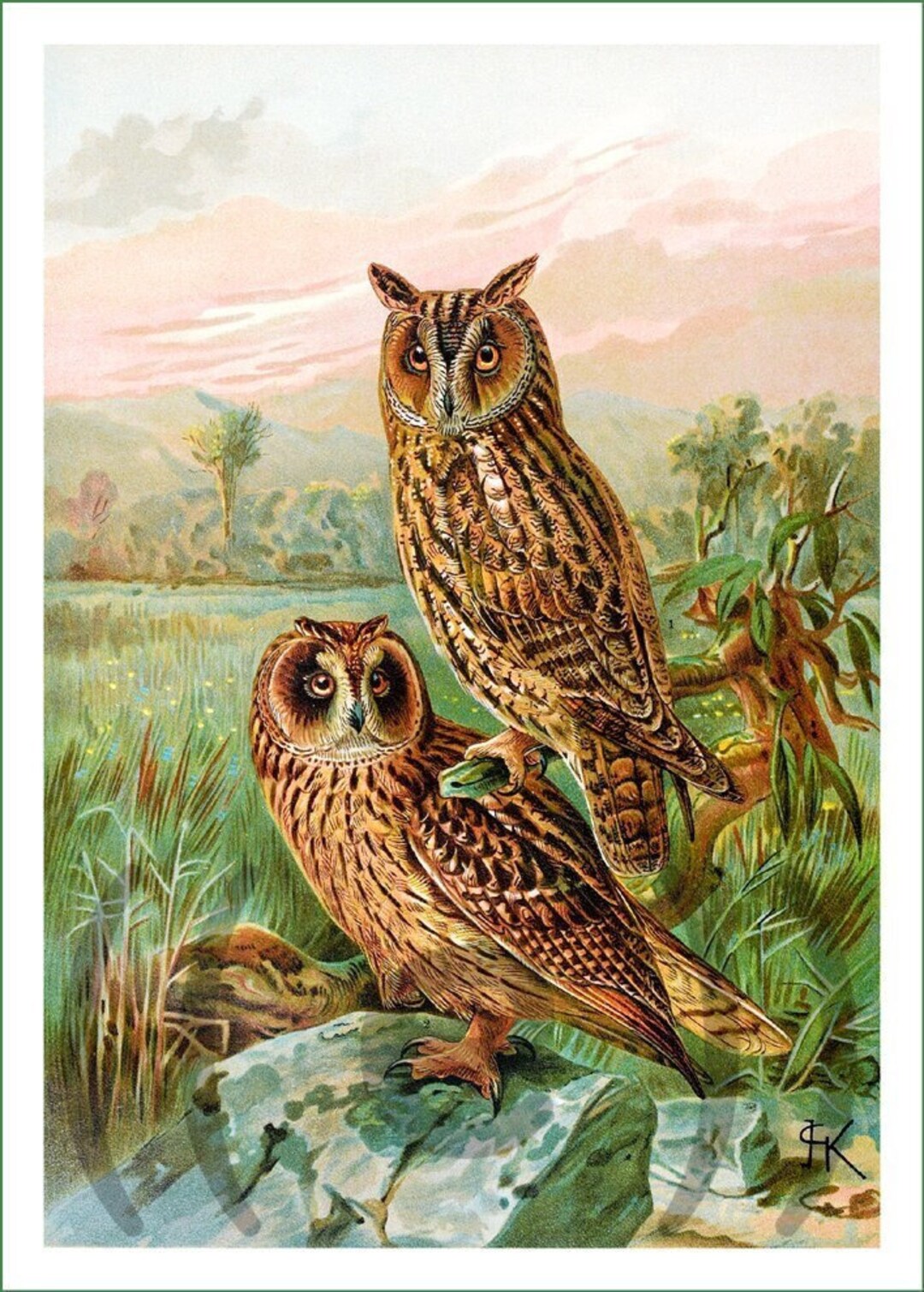 Fabric Panel - Owls (4). for Sewing, Patchwork, Quilting. Fabric ...