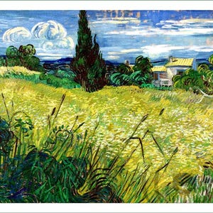 Puede incluir: Una pintura al óleo que representa un campo de trigo amarillo vibrante bajo un cielo azul con nubes blancas. Un ciprés alto de color verde oscuro se alza en el centro, con una pequeña casa y árboles verdes visibles al fondo. El primer plano muestra hierbas de color verde oscuro.