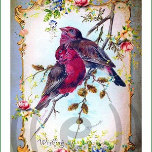 May include: A vintage-style illustration featuring two birds with deep magenta and dark brown plumage perched on a branch. The scene is framed by a decorative gold border adorned with pink roses and blue flowers, with the text Wishing and Amaranth.