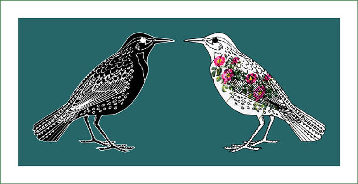 Fabric Panel Two Birds. for Sewing Patchwork Quilting. | Etsy