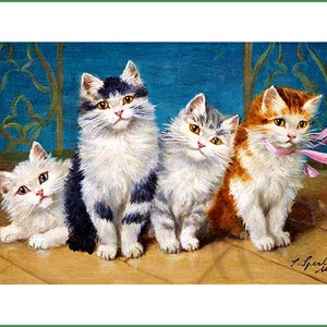 Op de afbeelding: Vier katten zitten in een rij op een houten vloer. De kat links is wit met zwarte markeringen. De volgende kat is zwart-wit met een gestreept patroon. De derde kat is wit met grijze markeringen. De kat rechts is wit met oranje markeringen en een roze lint om zijn nek. De achtergrond is een blauwe muur met een decoratief patroon.