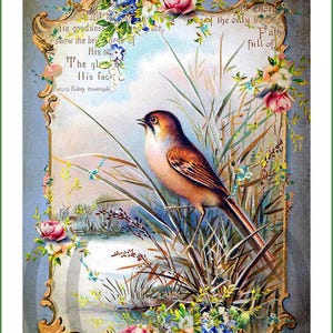 Pode incluir: Uma impressão de estilo vintage apresentando um pássaro marrom empoleirado entre gramíneas altas e juncos. A cena é emoldurada por uma borda dourada ornamentada decorada com rosas cor-de-rosa e flores azuis. Texto é visível ao fundo, incluindo o nome Frances Ridley Havergal.