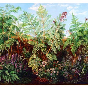 Könnte beinhalten: Ein detailliertes botanisches Gemälde mit leuchtend grünen Farnen als Mittelpunkt, umgeben von Gruppen violetter und rosafarbener Wildblumen. Eine kleine Libelle ist in der oberen rechten Ecke vor einem hellblauen Himmel zu sehen.