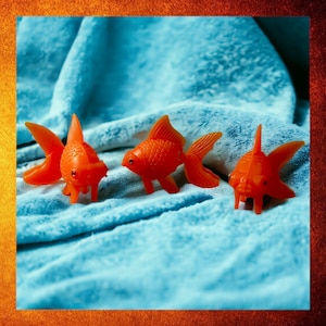 May include: Three orange plastic goldfish toys on a blue fuzzy surface. The goldfish are in various poses, with their fins and tails spread out.