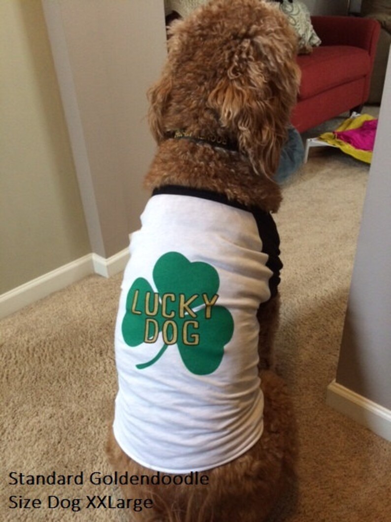 Dog Shirt lucky Dog American Apparel St. Etsy