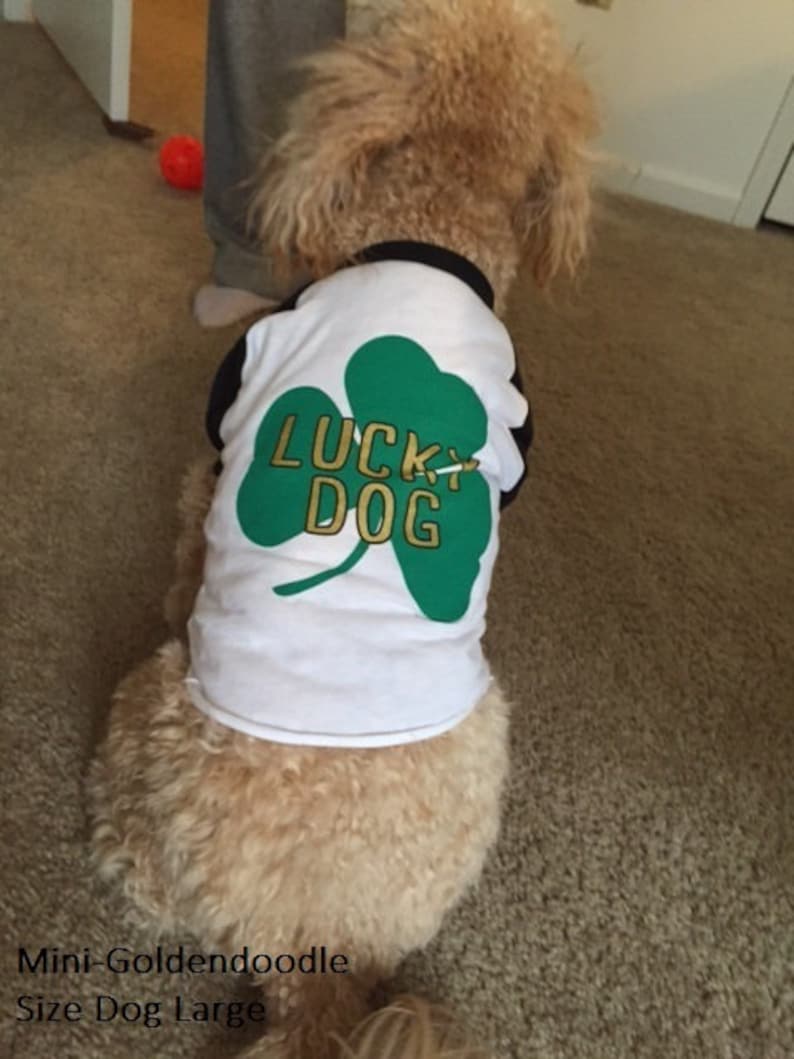 Dog Shirt lucky Dog American Apparel St. Etsy