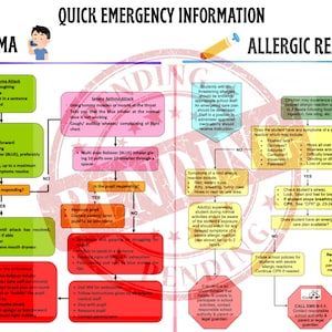 May include: A medical chart with emergency information for asthma and allergic reactions. The chart includes flowcharts with symptoms, actions, and instructions. Text includes "Quick Emergency Information", "Asthma", and "Allergic Reaction".