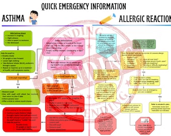 Quick Emergency Information Sheet for Schools|School Nurse Resource|Teacher Emergency Guide|Asthma Allergy Diabetes Seizure Chart |Printable