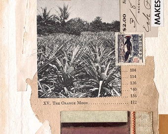 Pineapple Field Original Collage, Handmade Collage, Collage on Books