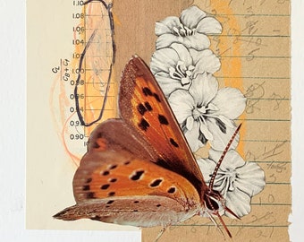 Moth Math Mixed Media Collage