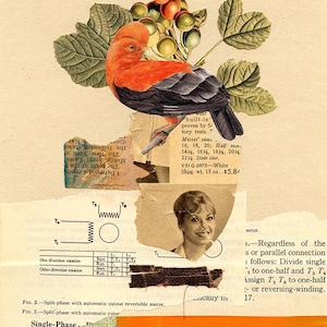 Orange Bird Collage Art: Handmade Abstract Floral Collage (6x8)