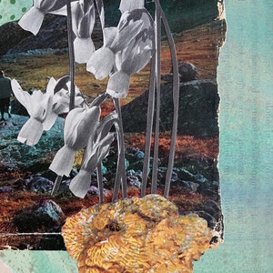 Narcissus Moon Original Collage, Handmade, Collage on Books image 3