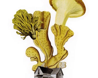 Surreal Mushroom and House Original Collage