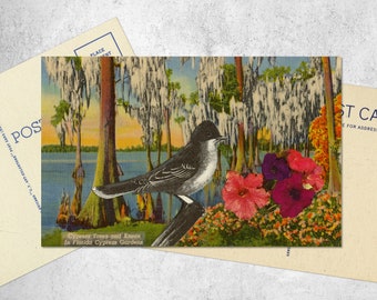 Cypress Bird Collage Postcard, Postcard art, Tiny art